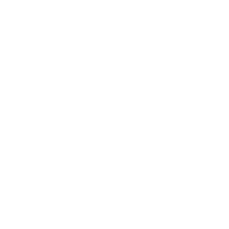 Identfit Logo